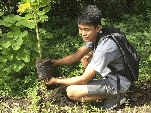 contioutra.com - Filipinas aprova lei que exige que os alunos plantem 10 árvores para se formar
