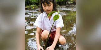 Filipinas aprova lei que exige que os alunos plantem 10 árvores para se formar