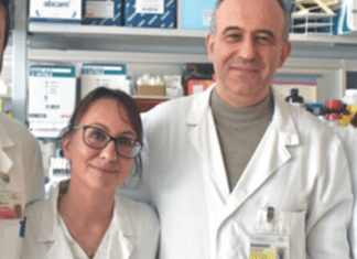 Pesquisadores italianos criam molécula que promete impedir metástase do câncer de mama