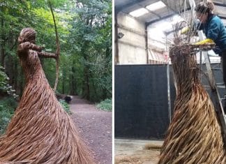 Essa artista cria esculturas cativantes feitas de galhos de árvores. Parece que estão vivas!