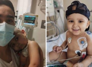 Pequeno guerreiro: menino de 2 anos recebeu transplante de medula óssea, venceu leucemia e COVID-19