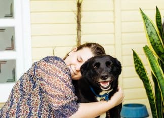 Estudo revela que a frequência cardíaca de um cãozinho aumenta quando seu dono diz “Eu te amo”