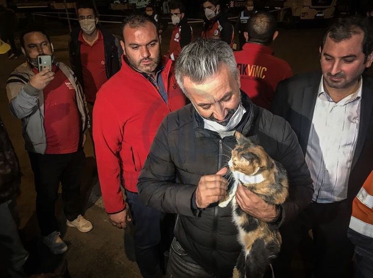 contioutra.com - Esse cão de resgate salvou um gato que ficou 30 horas nos escombros de um prédio na Turquia.