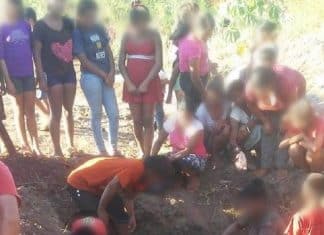 Para ter o que comer, população carente cava e recupera 1,2 mil caixas de frango descartadas por órgão sanitário