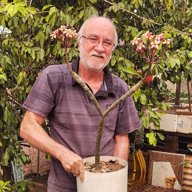 contioutra.com - Vovô de 61 anos encontra sua paixão ao ensinar plantio e cultivo. Agora ele faz sucesso nas redes sociais!