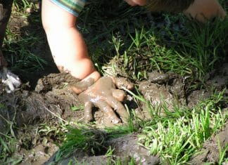 Creches na Finlândia implantaram um ‘piso de floresta’ que mudou o sistema imunológico das crianças