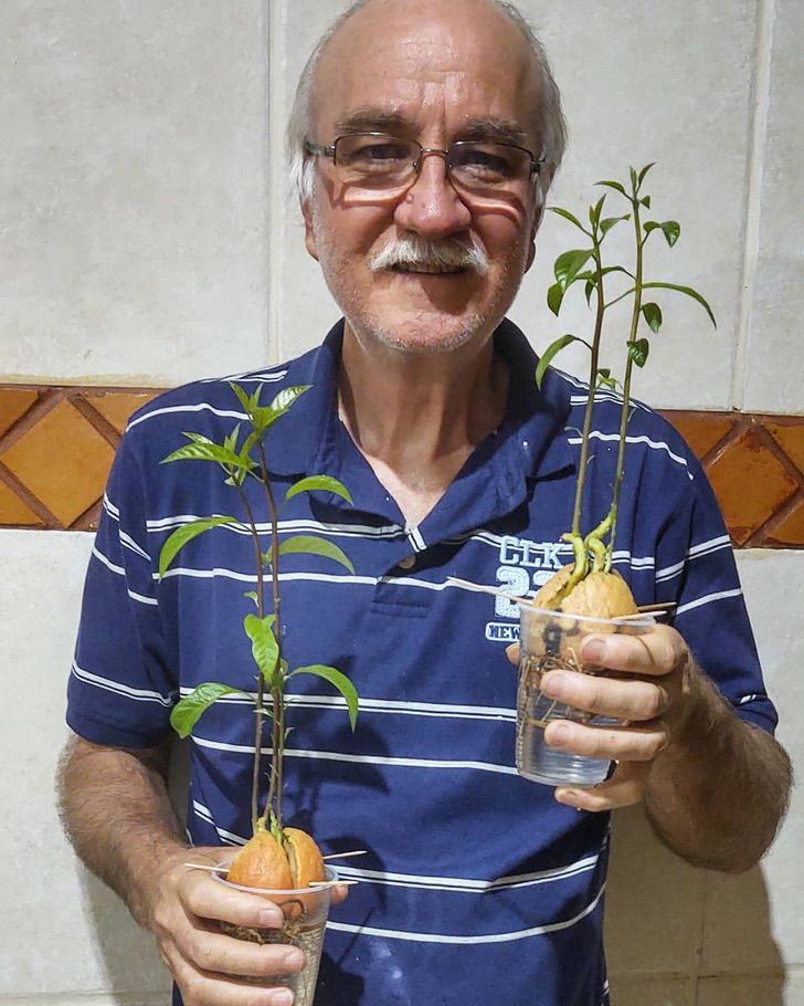 contioutra.com - Vovô de 61 anos encontra sua paixão ao ensinar plantio e cultivo. Agora ele faz sucesso nas redes sociais!