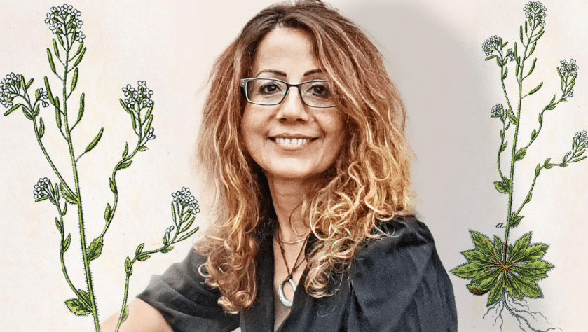 contioutra.com - Cientistas descobrem planta que pode ser o futuro no tratamento do c&acirc;ncer de mama