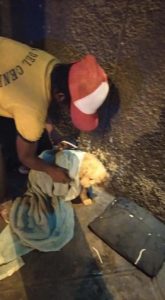 contioutra.com - Morador de rua abre mão da marmita que ganhou para alimentar o cãozinho faminto que resgatou