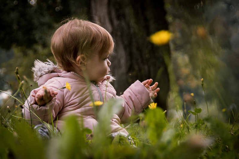 contioutra.com - Creches na Finlândia implantaram um ‘piso de floresta’ que mudou o sistema imunológico das crianças