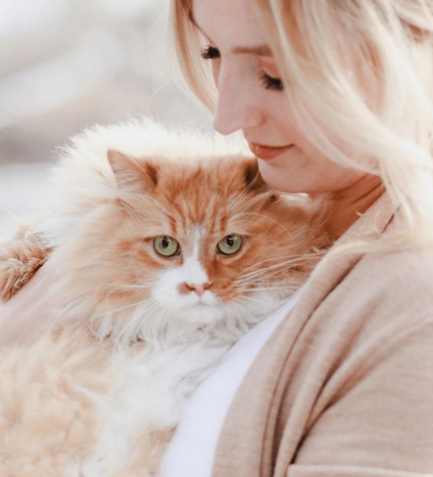 contioutra.com - Este gatinho perdeu as patas dianteiras, mas n&atilde;o deixou que isso o detivesse