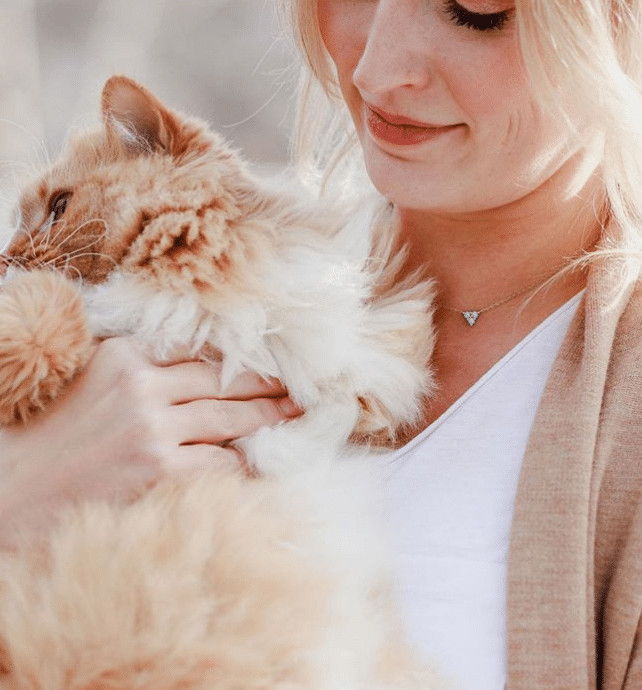 contioutra.com - Este gatinho perdeu as patas dianteiras, mas n&atilde;o deixou que isso o detivesse