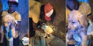 Morador de rua abre mão da marmita que ganhou para alimentar o cãozinho faminto que resgatou