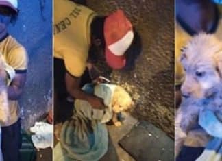 Morador de rua abre mão da marmita que ganhou para alimentar o cãozinho faminto que resgatou