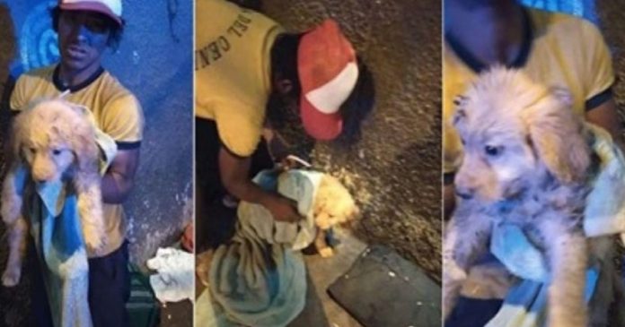 Morador de rua abre mão da marmita que ganhou para alimentar o cãozinho faminto que resgatou