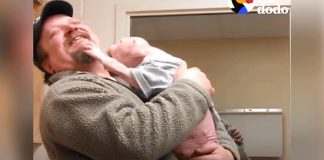 Filhote de pitbull tem a reação mais fofa ao ser adotado pelo homem que salvou sua vida