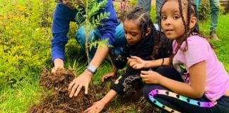 Etiópia planta mais de 350 milhões de árvores em 12 horas Etiópia planta mais de 350 milhões de árvores em 12 horas