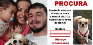 Mulher que encontrou cãozinho desaparecido recusa carro como recompensa: ‘Não seria justo’ Mulher que encontrou cãozinho desaparecido recusa carro como recompensa: ‘Não seria justo’