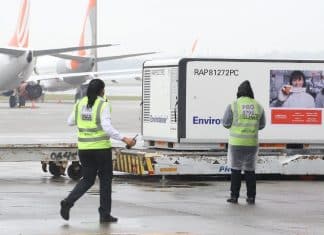 Já chegou ao Brasil o primeiro lote da Coronavac, vacina contra Covid-19