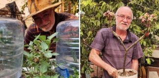 Vovô de 61 anos encontra sua paixão ao ensinar plantio e cultivo. Agora ele faz sucesso nas redes sociais!