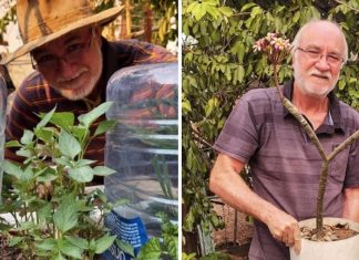Vovô de 61 anos encontra sua paixão ao ensinar plantio e cultivo. Agora ele faz sucesso nas redes sociais!