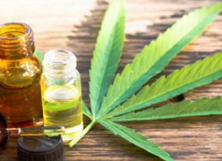 Medicamentos à base de cannabis devem ser incluídos no SUS após decisão do TRF-1