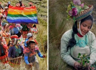 Com mais de 3 milhões de árvores, comunidades indígenas estão reflorestando os Andes.