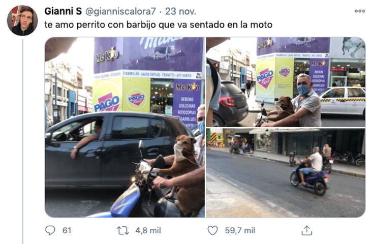 contioutra.com - Cachorro faz sucesso ao usar máscara enquanto anda de moto com seu dono na Argentina.  Veja fotos!