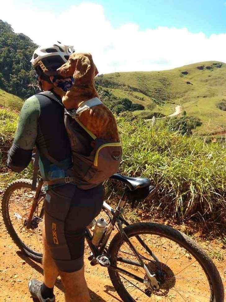 contioutra.com - Ciclista resgatou um cachorrinho abandonado e carregou-o nas costas para salvá-lo!