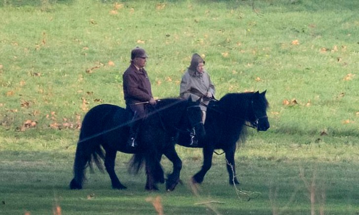 contioutra.com - Aos 94 anos, a Rainha Elizabeth cavalga com seu cavalo todas as manhãs. Uma disposição invejável!