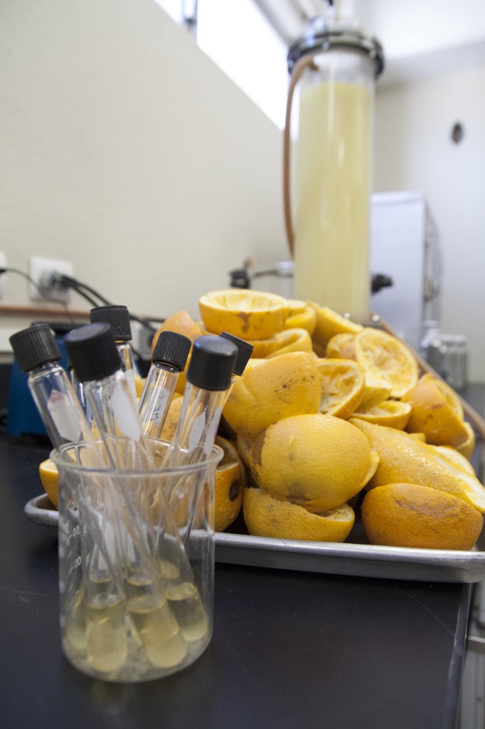 contioutra.com - Estudante inventa plástico com casca de laranja biodegradável