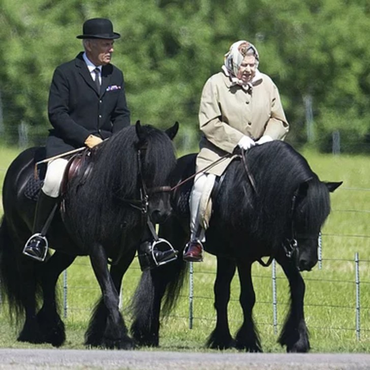 contioutra.com - Aos 94 anos, a Rainha Elizabeth cavalga com seu cavalo todas as manhãs. Uma disposição invejável!