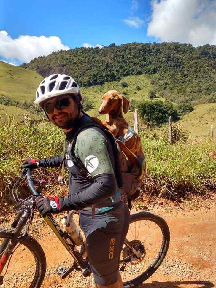 contioutra.com - Ciclista resgatou um cachorrinho abandonado e carregou-o nas costas para salvá-lo!