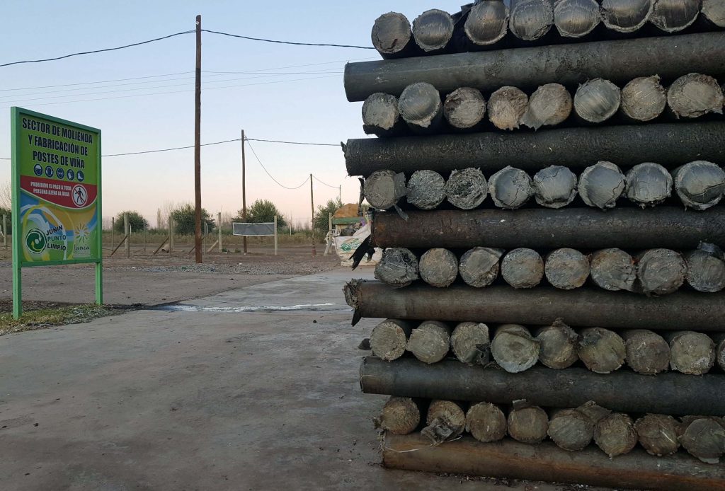 contioutra.com - Graças à madeira plástica criada pelos argentinos, será evitada a derrubada de milhões de árvores