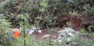 Família inteira falece após queda de avião em área rural do Paraná