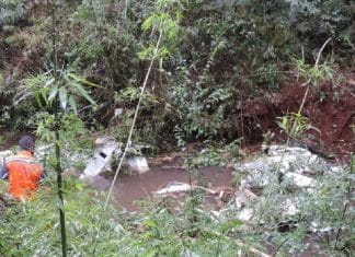 Família inteira falece após queda de avião em área rural do Paraná