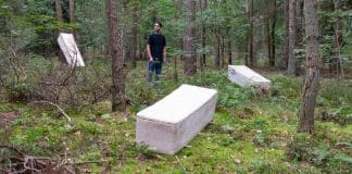 Homem holandês inventa caixão que transforma corpos em cogumelos: ‘Somos nutrientes, não resíduos’