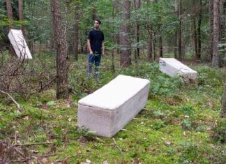 Homem holandês inventa caixão que transforma corpos em cogumelos: ‘Somos nutrientes, não resíduos’