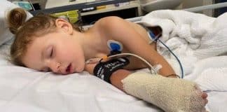 Garotinha é salva pela avó após ser picada por uma das cobras mais venenosas do mundo