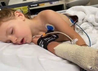 Garotinha é salva pela avó após ser picada por uma das cobras mais venenosas do mundo