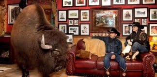 Búfalo de estimação assiste televisão e janta na casa de seus donos. Eles vão celebrar o Natal juntos!