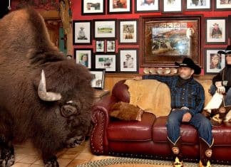 Búfalo de estimação assiste televisão e janta na casa de seus donos. Eles vão celebrar o Natal juntos!