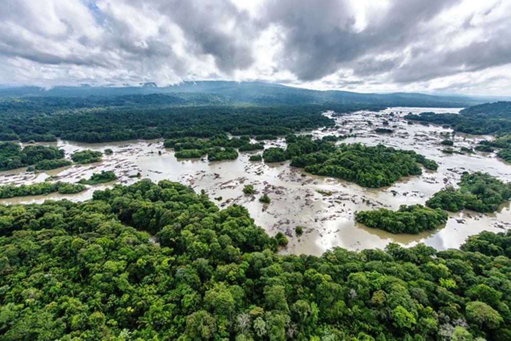 contioutra.com - França implementará o crime de "ecocídio" para punir os danos ao meio ambiente. Sem mais impunidade!