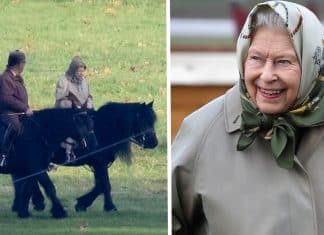 Aos 94 anos, a Rainha Elizabeth cavalga com seu cavalo todas as manhãs. Uma disposição invejável!