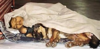 Garotinho abandonado pelos pais é flagrado dormindo na rua com o melhor amigo que tem nessa vida