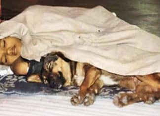 Garotinho abandonado pelos pais é flagrado dormindo na rua com o melhor amigo que tem nessa vida