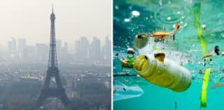 França implementará o crime de “ecocídio” para punir os danos ao meio ambiente. Sem mais impunidade!