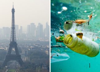 França implementará o crime de “ecocídio” para punir os danos ao meio ambiente. Sem mais impunidade!