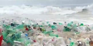 Impressionante onda de lixo em praia carioca deixa campeão mundial de surfe em choque (VÍDEO)