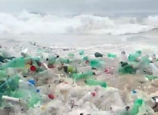 Impressionante onda de lixo em praia carioca deixa campeão mundial de surfe em choque (VÍDEO)